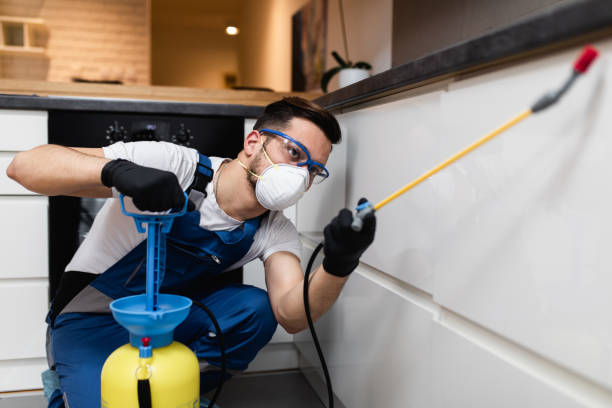 Best Pest Control Near Me  in Blennerhassett, WV