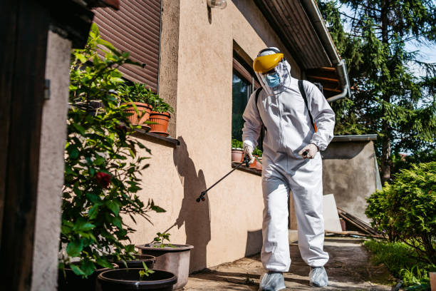 Best Affordable Pest Control Services  in Blennerhassett, WV